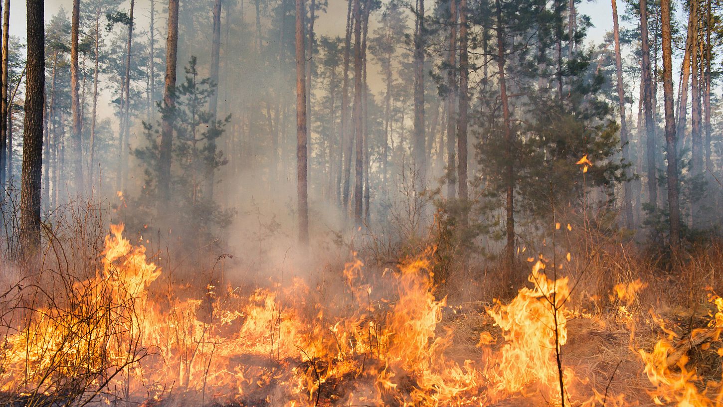 Cuando la naturaleza nos obliga a detenernos